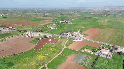 (Share) Agricultural field in Peristerona, Nicosia - Image 1