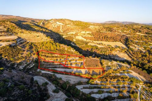 Three agricultural fields in Amargeti, Paphos - Image 1