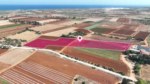 Field in Liopetri, Ammochostos - Image 1