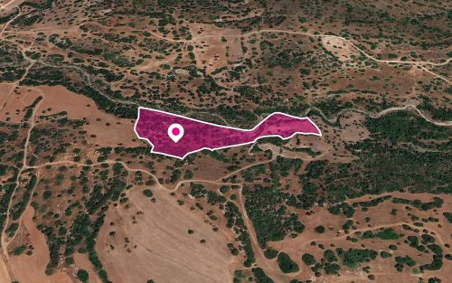 Shared Field, Kato Arodes, Paphos - Image 1