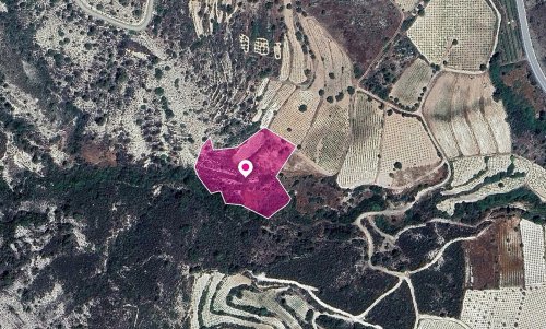 Residential field in Agios Mamas Community, Limassol - Image 1