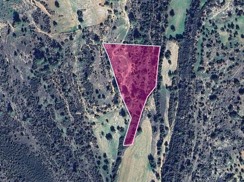 Field, Anogyra, Limassol - Image 1