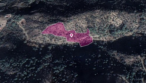 Field, Kaminaria, Limassol - Image 1