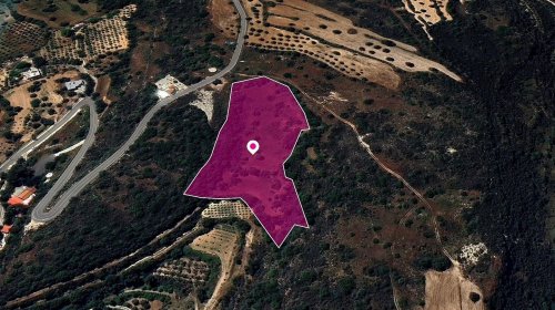 (Share) Agricultural Field, Pano Akourdaleia, Paphos - Image 1