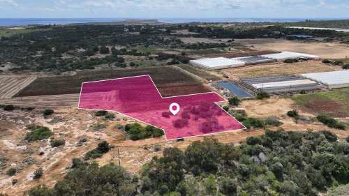 (Share) Special Protection field in Paralimni, Ammochostos - Image 1