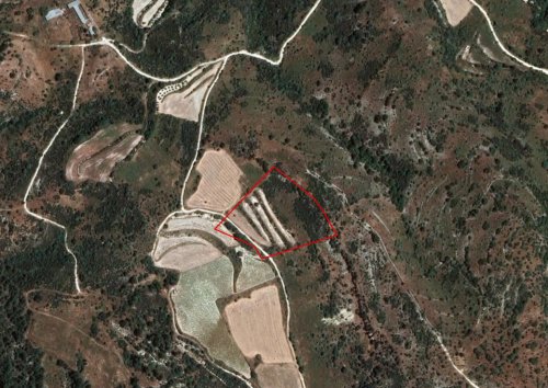 Field in Dora, Limassol - Image 1
