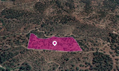 Special Protection Zone Field in Agios Theodoros, Nicosia - Image 1