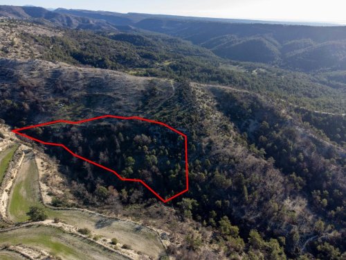 Field in Pano Archimandrita, Paphos - Image 1