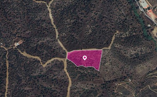 (Share) Agricultural field in Agios Theodoros Soleas, Nicosia - Image 1