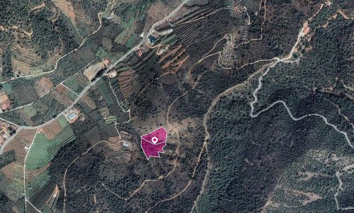2 x Fields in Tsakistra, Nicosia - Image 1