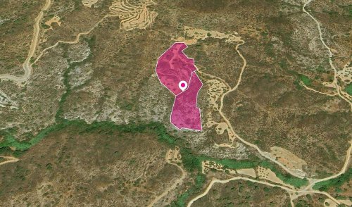 Fields in Vasa Kellakiou, Limassol - Image 1