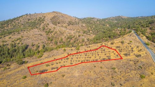 Field in Agia Marina Xyliatou, Nicosia - Image 1