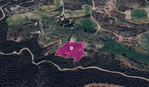 Field in Kofinou, Larnaka - Image 1