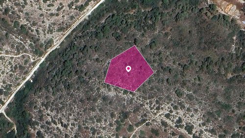 (Share) Field in Parekklisia Community, Limassol - Image 1