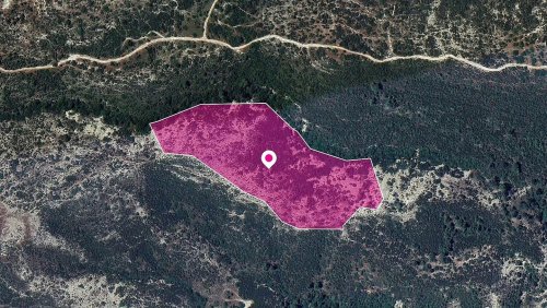 Field in Platanisteia Community, Limassol - Image 1