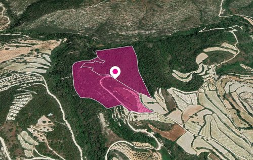 (Share) Agricultural Fields, Koili, Paphos - Image 1