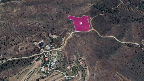 (Share) Live stock field in Kalo Chorio Oreinis, Nicosia - Image 1