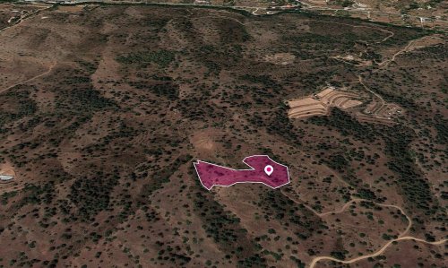 Field in Gourri, Nicosia - Image 1