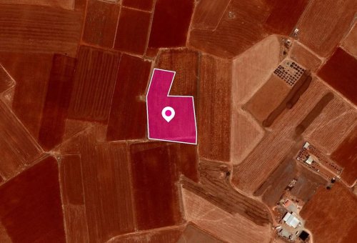 Agricultural field in Achna, Famagusta - Image 1