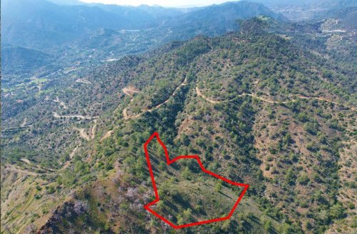 Field in Arakapas, Limassol - Image 1