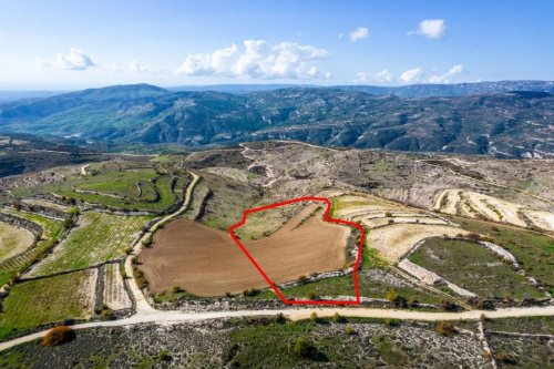 Field in Arsos, Limassol - Image 1