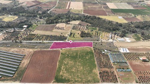 Animal Breeding zoned field in Agios Ioannis, Nicosia - Image 1
