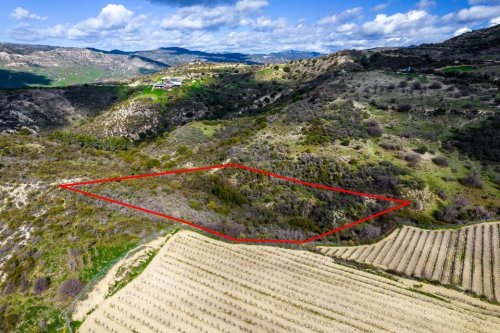 Field in Dora, Limassol - Image 1