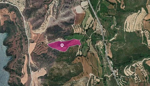 (Share) Agricultural Field, Kato Akourdaleia, Paphos - Image 1