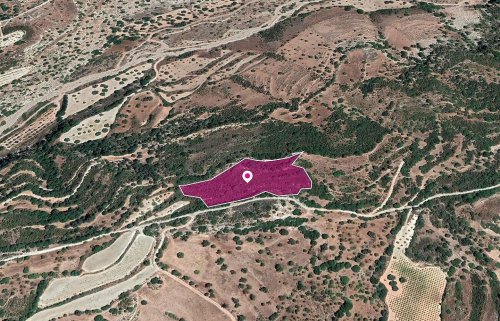 Shared Agricultural Field, Choulou, Paphos - Image 1