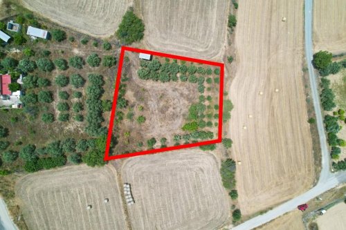 Residential field in Pera, Nicosia - Image 1
