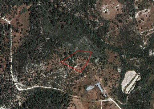 Field in Dora, Limassol - Image 1