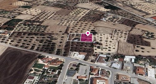 Distributed 50% share of a Field in Athienou, Larnaca - Image 1