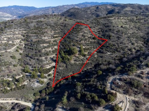 Field in Mousere, Paphos - Image 1