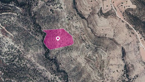 Field, Agios Therapon, Limassol - Image 1