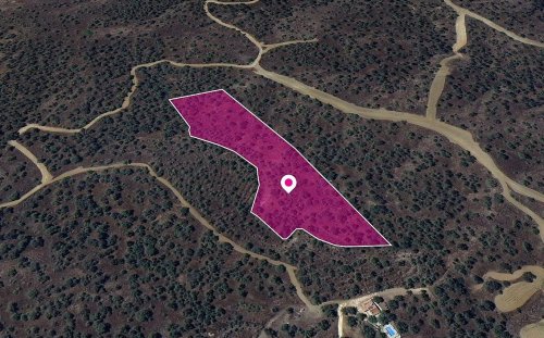 (Share) Agricultural field in Evrychou, Nicosia - Image 1