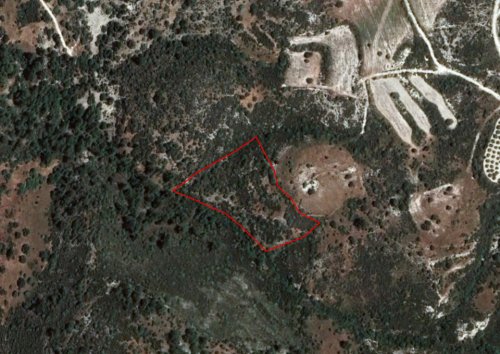 Field in Dora, Limassol - Image 1