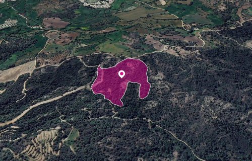 (Share) Agricultural Field, Lysos, Paphos - Image 1