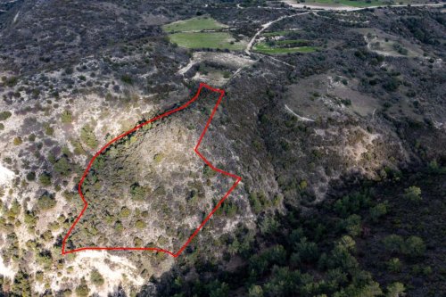 Field in Dora, Limassol - Image 1