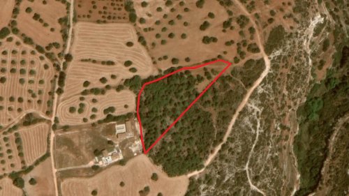 Shared field in Neo Chorio, Paphos - Image 1