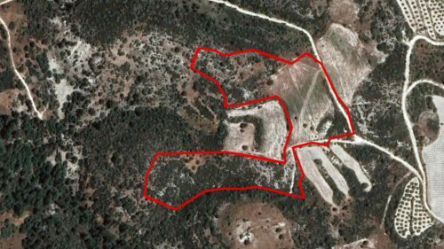 Field in Dora, Limassol - Image 1