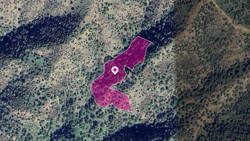 (Share) Field, Pomos, Paphos - Image 1