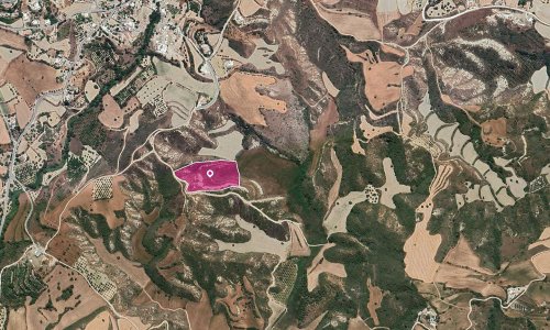 Field in Steni, Paphos - Image 1