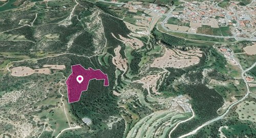 Agricultural Field in Agios Theodoros, Larnaca - Image 1