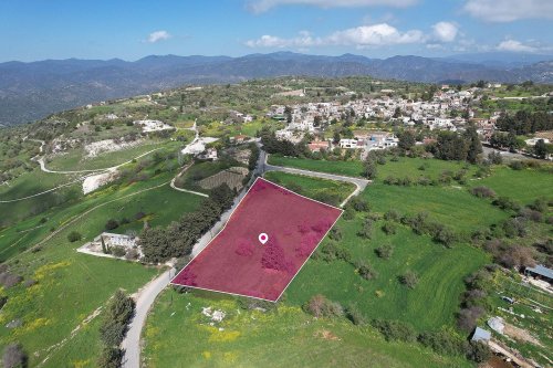 Residential field in Fyti, Paphos - Image 1