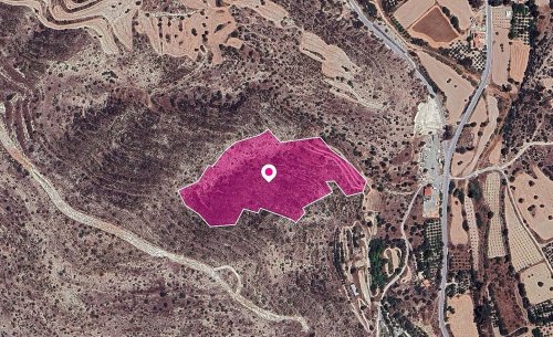 Agricultural Field in Agios Theodoros, Laranca - Image 1