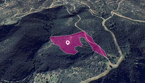 Special Protection Field in Lageia, Larnaca - Image 1