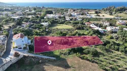 Field in Kato Pyrgos, Nicosia - Image 1