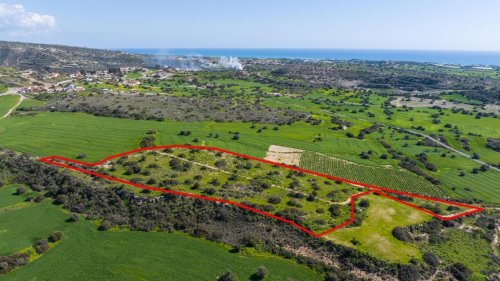 Field in Psematismenos, Larnaca - Image 1