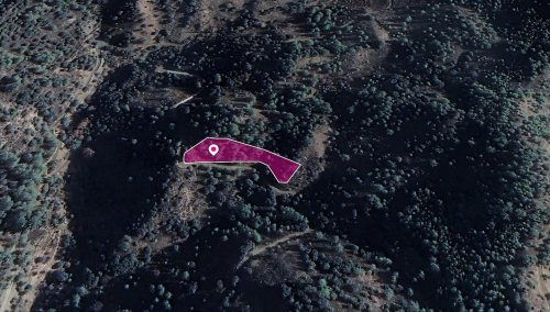 Field, Kaminaria, Limassol - Image 1