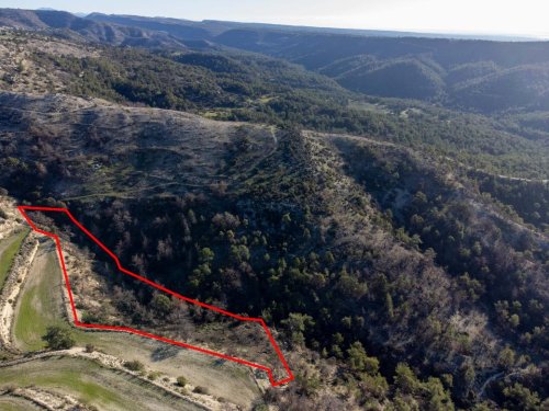 Field in Pano Archimandrita, Paphos - Image 1